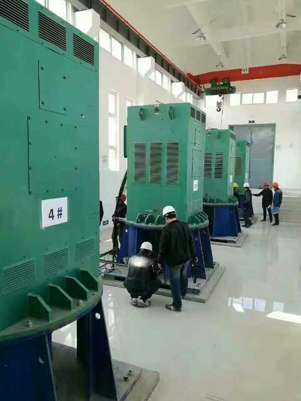 肇庆某污水处理厂使用我厂的立式高压电机安装现场